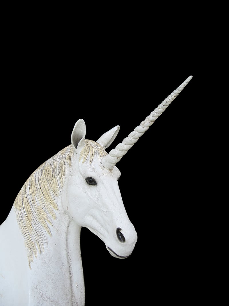 Unicorn Garden Decor